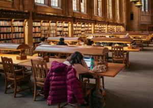person with laptop in library